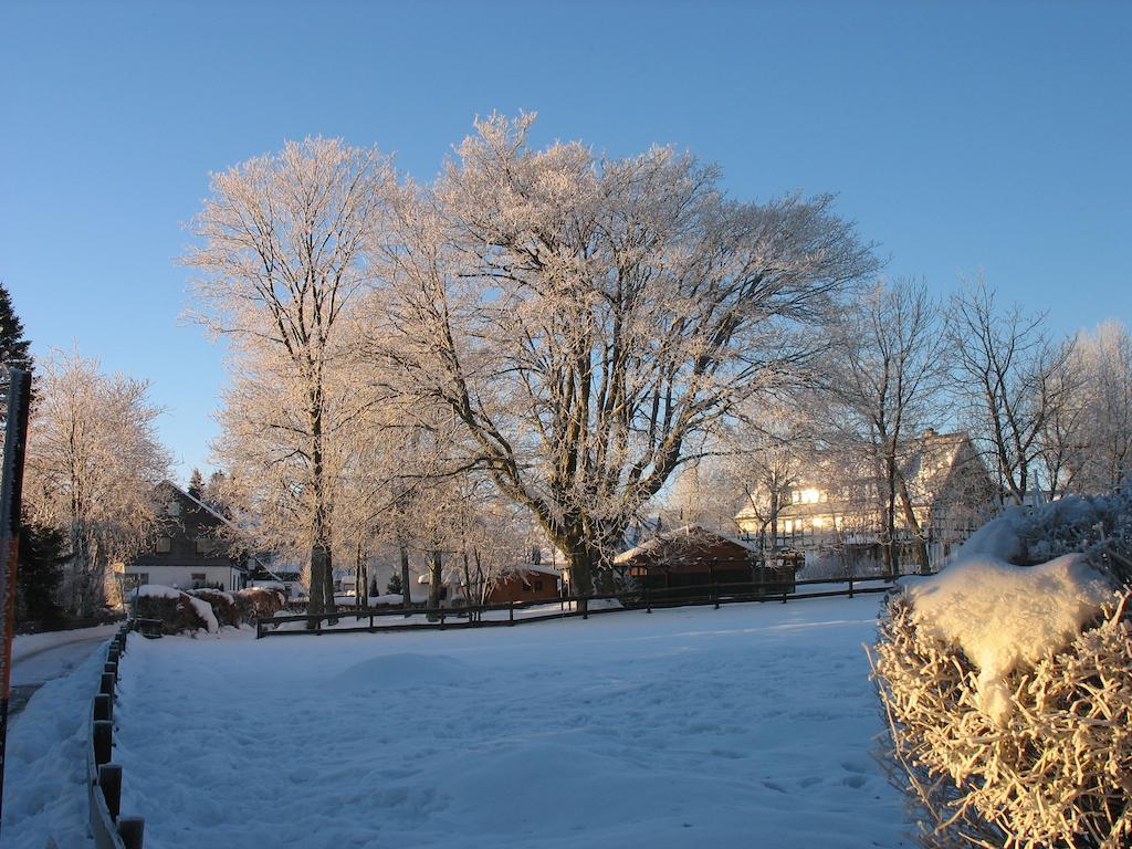 Ferienwohnungen Landgasthof Gilsbach Winterberg Buitenkant foto